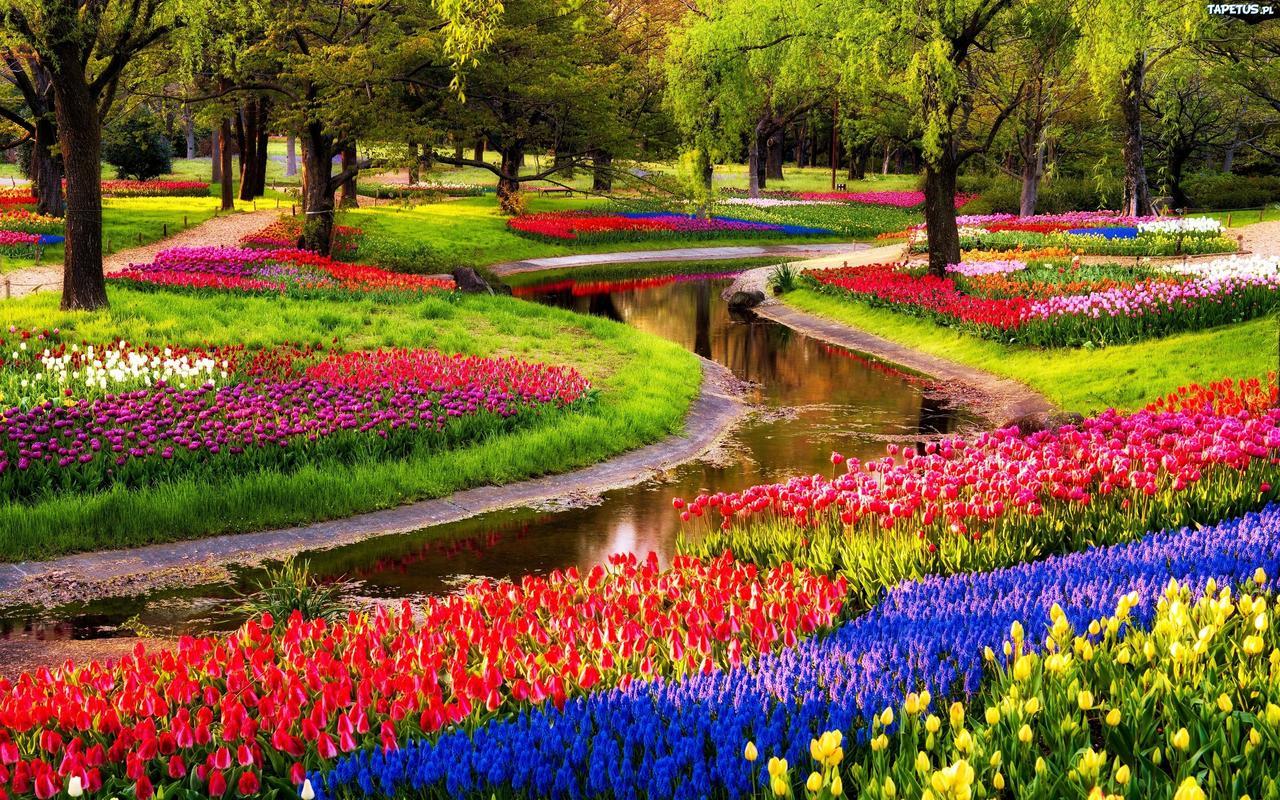 Boutique Suites Lisse - Keukenhof Bagian luar foto